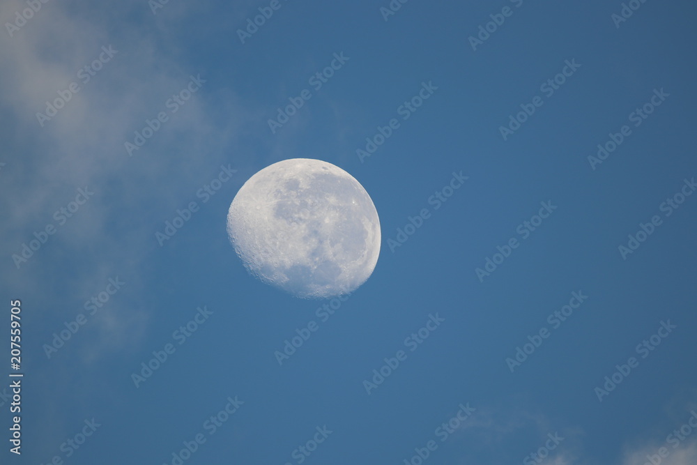 Full Moon Full Moon