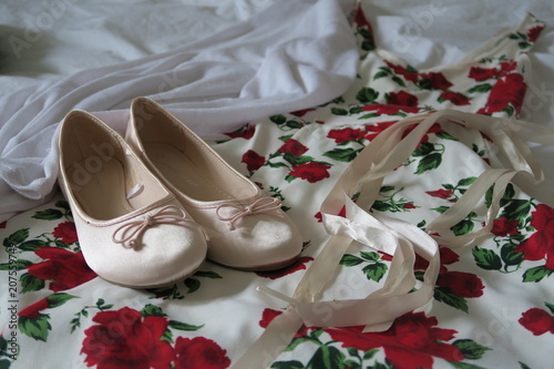 Ballerina Shoes and Dress