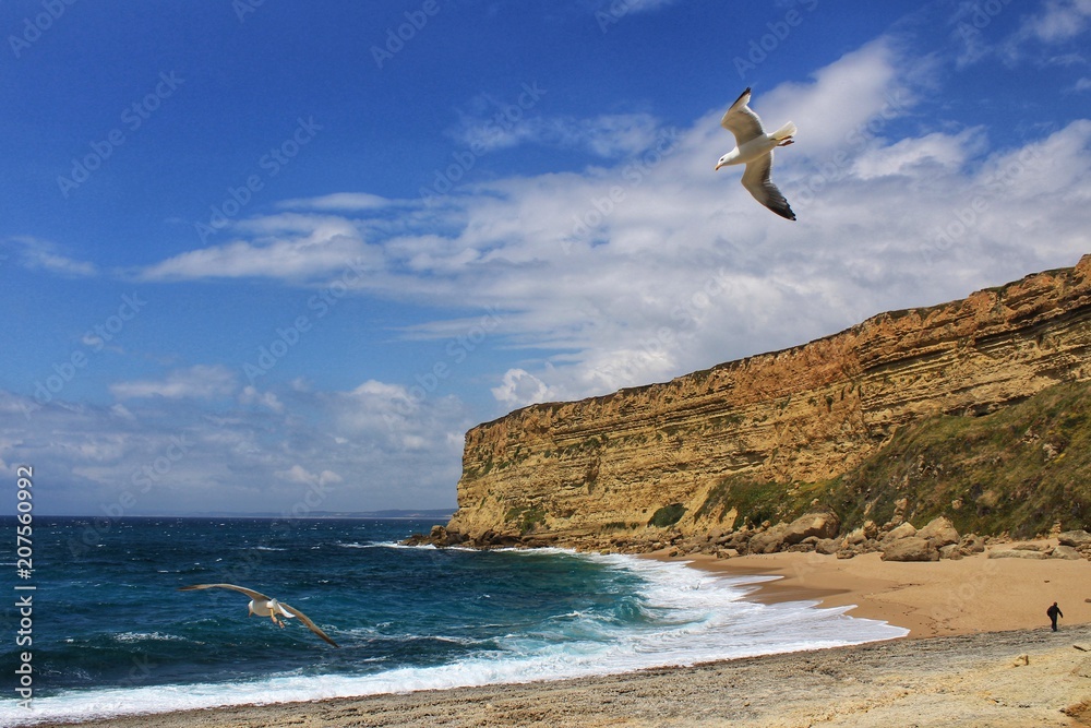 Crystal clear and wild waters in Praia da Foz, Sesimbra, Portugal