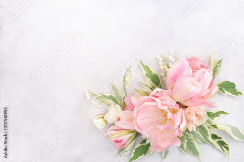 Delicate tulips on blooming spring flowers festive background, summer blossoming pastel and soft bouquet floral card, selective focus