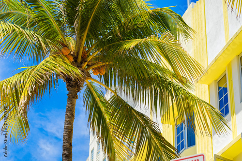 Miami Beach cityscape © Fotoluminate LLC