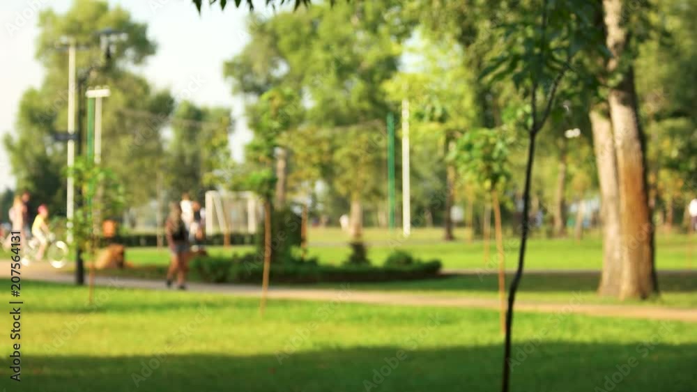 Defocused background of summer park with walking people. Crowded green park. Defocused background of summer park with walking people. Crowded green park.