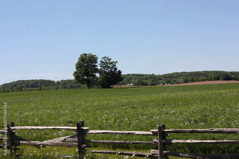 Fototapeta premium Countryside Afternoon Walk