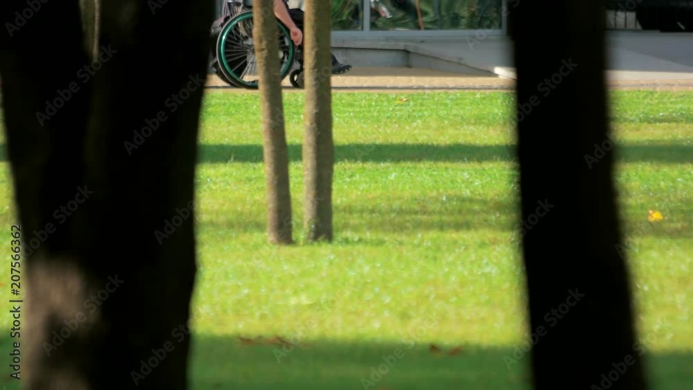 Disabled person riding wheelchair in the park. Walkin in the summer park. Green lawn. Disabled person riding wheelchair in the park. Walkin in the summer park. Green lawn.