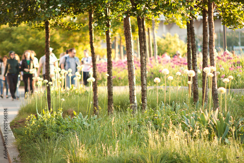 Фотография people stroll in the summer sunny city park