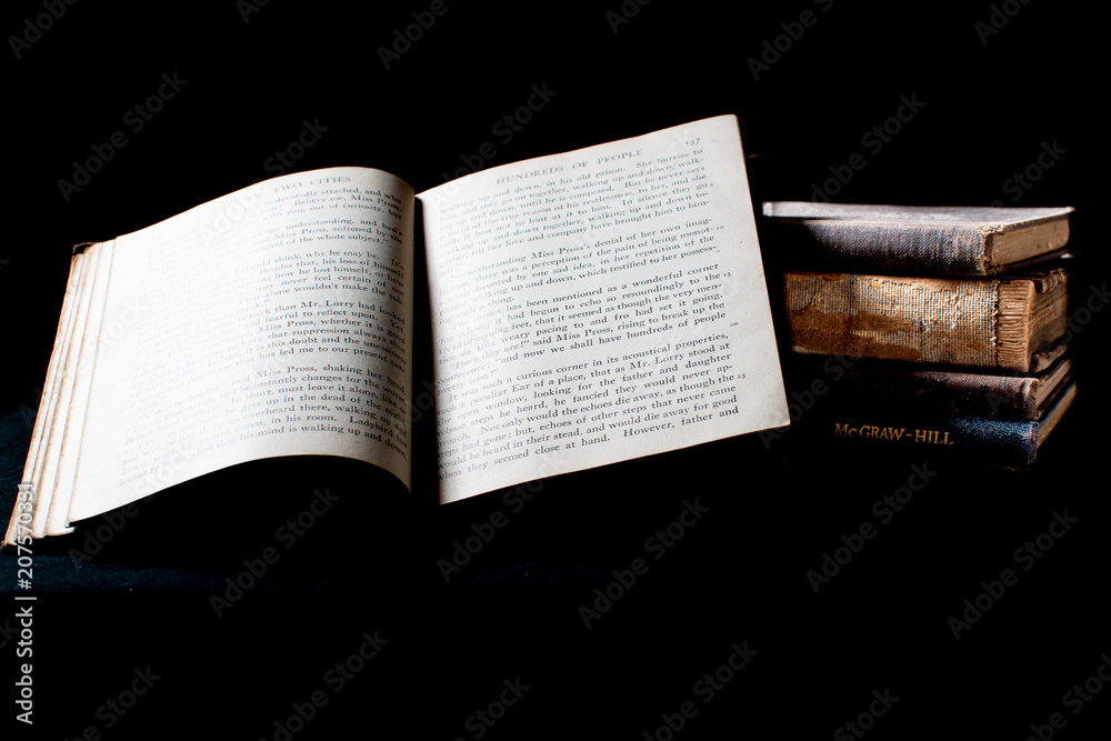 Fototapeta premium Old Book Project