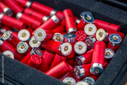 Red Shotgun Shells