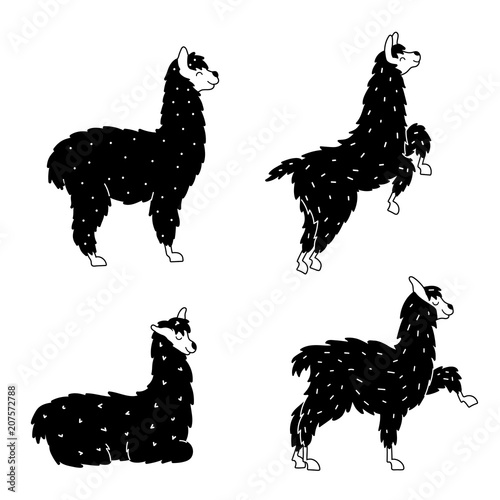 Vector set of llama, plant, flower