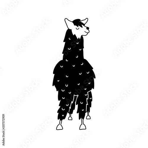 Vector illustration of cute llama