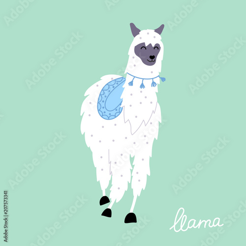 Vector illustration of  llama