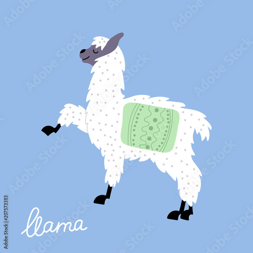 Vector illustration of  llama