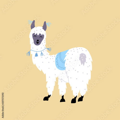 Vector illustration of  llama