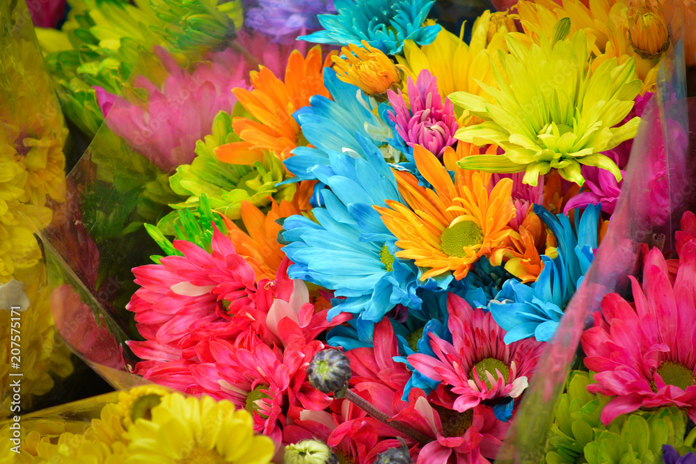 Obraz kolory kwiatów