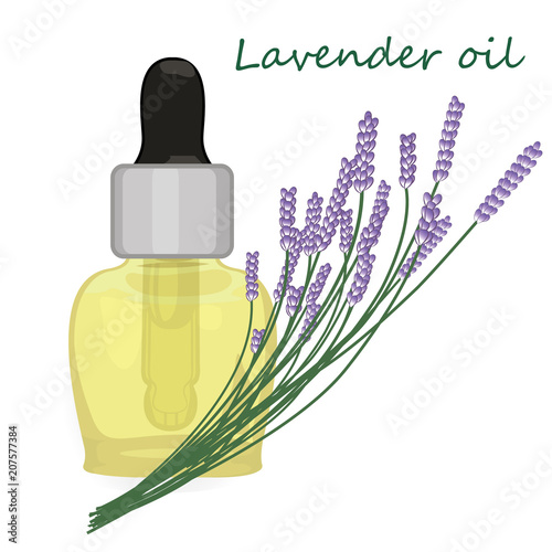 Lavender essential oil vector illustration Aromatherapy