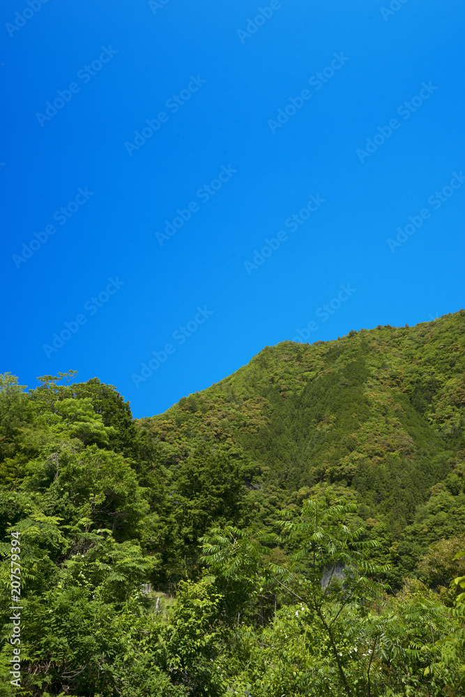 新緑の山と青空