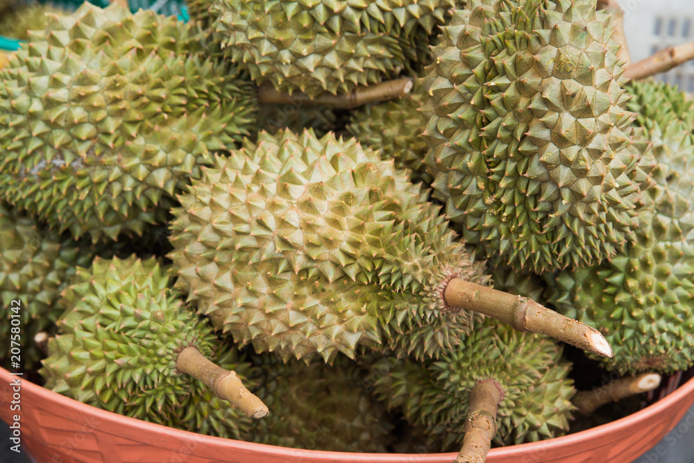 Fresh durians in the basket, king of fruit, Thailand
Fresh durians in the basket, king of fruit, Thailand