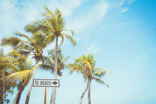 Fototapeta Naklejka Na Ścianę i Meble -  Landscape of coconut palm tree on tropical beach in summer. beach sign for surfing area. Vintage effect color filter.