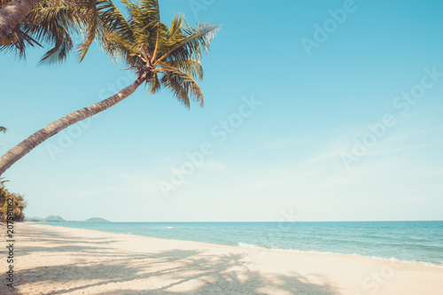 Fototapeta Naklejka Na Ścianę i Meble -  Vintage nature background - Landscape of coconut palm tree on tropical beach in summer. Summer background concept. retro instagram filter effect
