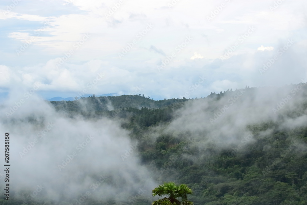 Beautiful natural scenery of mist over green mountain.