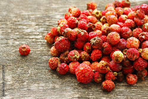 Meadow strawberries. photo