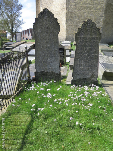 фотографія Two ancient gravestones in Dutch churchyard