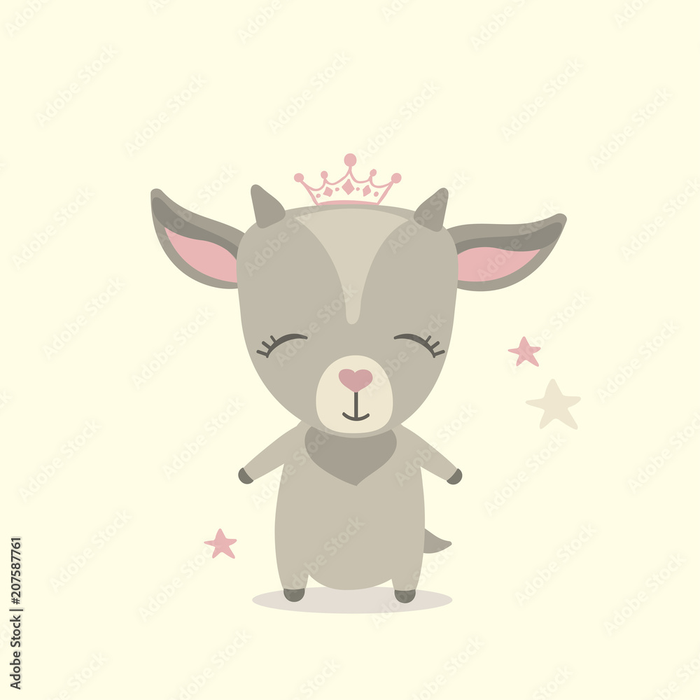 Cute little goat Cute little goat