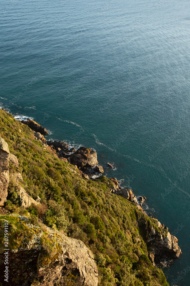 Fototapeta premium View along the rugged coastline of Table Cape