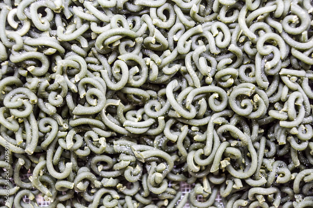 Fresh Pasta, close-up texture of Home made tagliatelle pasta flour ribbon noodle