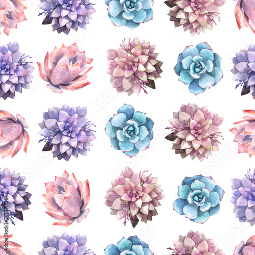 Seamless background with succulents  in watercolor style.