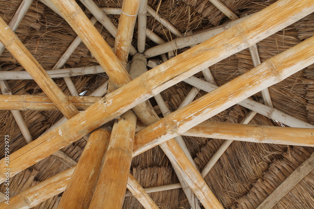 Bamboo roof Bamboo roof