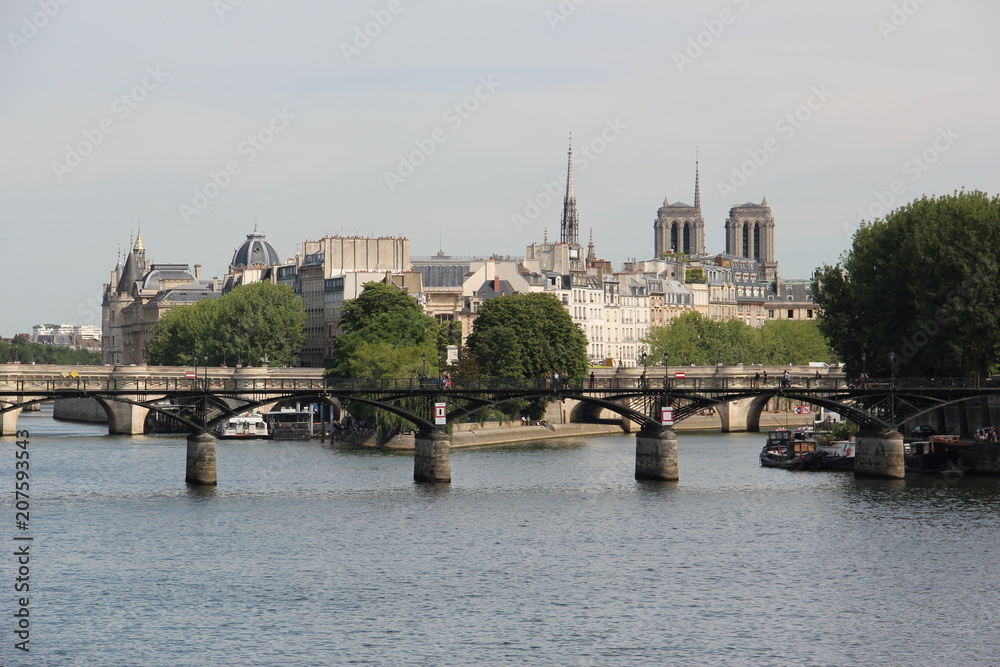 Obraz premium vue sur le Pont des arts et Notre Dame