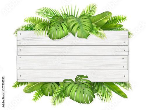 Trendy tropical and summer leaves. Wooden sign with place for text. Illustration for design with exotic plant.