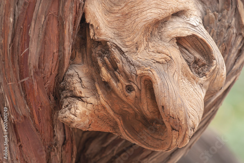 中国　樹のこぶが作り出す自然の造形美2 © 松本 伸男