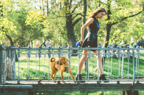 A beautiful girl is walking with a sharpei dog. the dog looks back and does not want to go