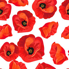 Acrylglasbilder Mohnblumenmuster Rote Mohnblüten klassischer Stil  © lyubovyaya