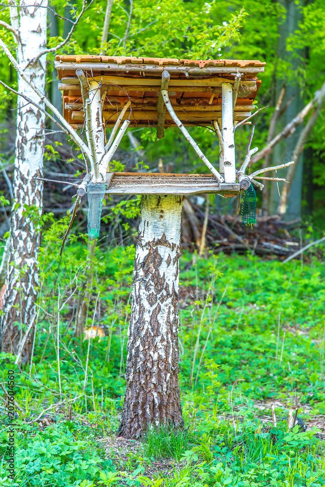 bird house for feeding made of birch wood in woodland landscape - nature friendly living. bird house for feeding made of birch wood in woodland landscape - nature friendly living.