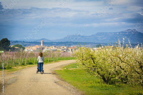 Mother walking her son in the stroller during springtime with blossoming peach tree