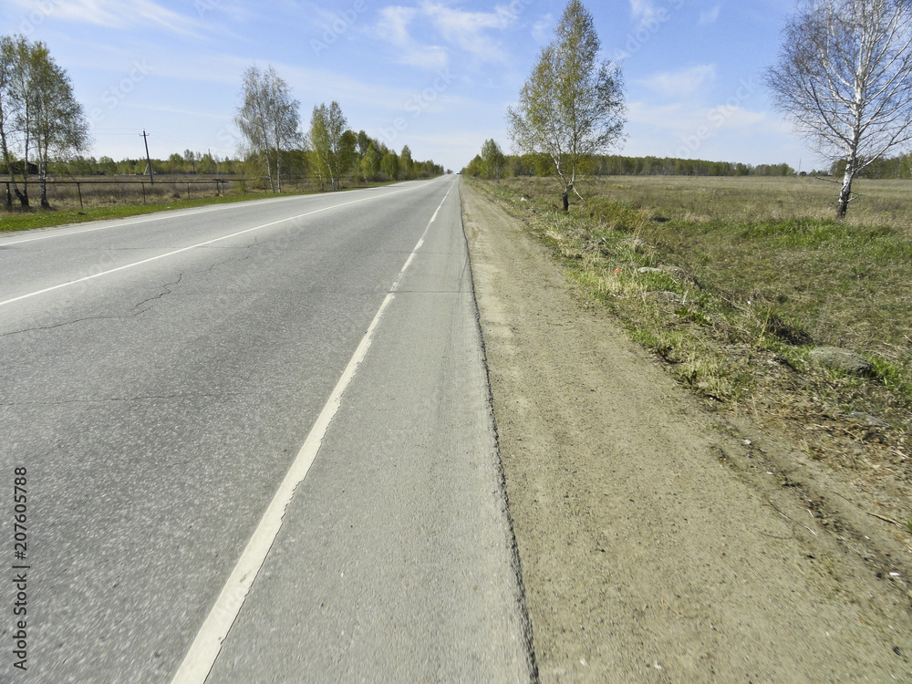 Landscape: asphalt road, early spring