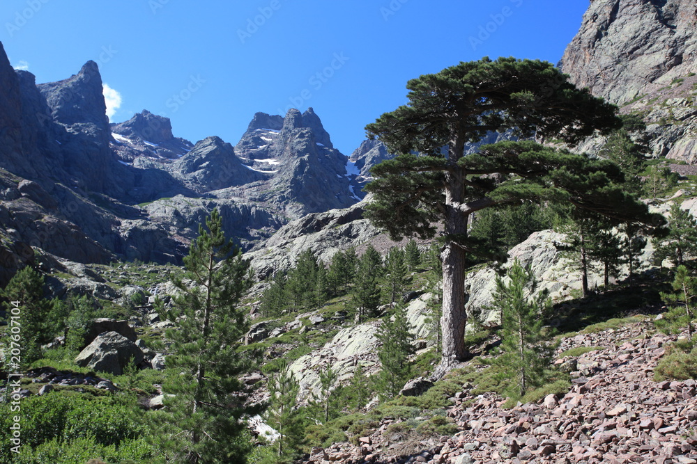 Korsyka, Francja - GR20