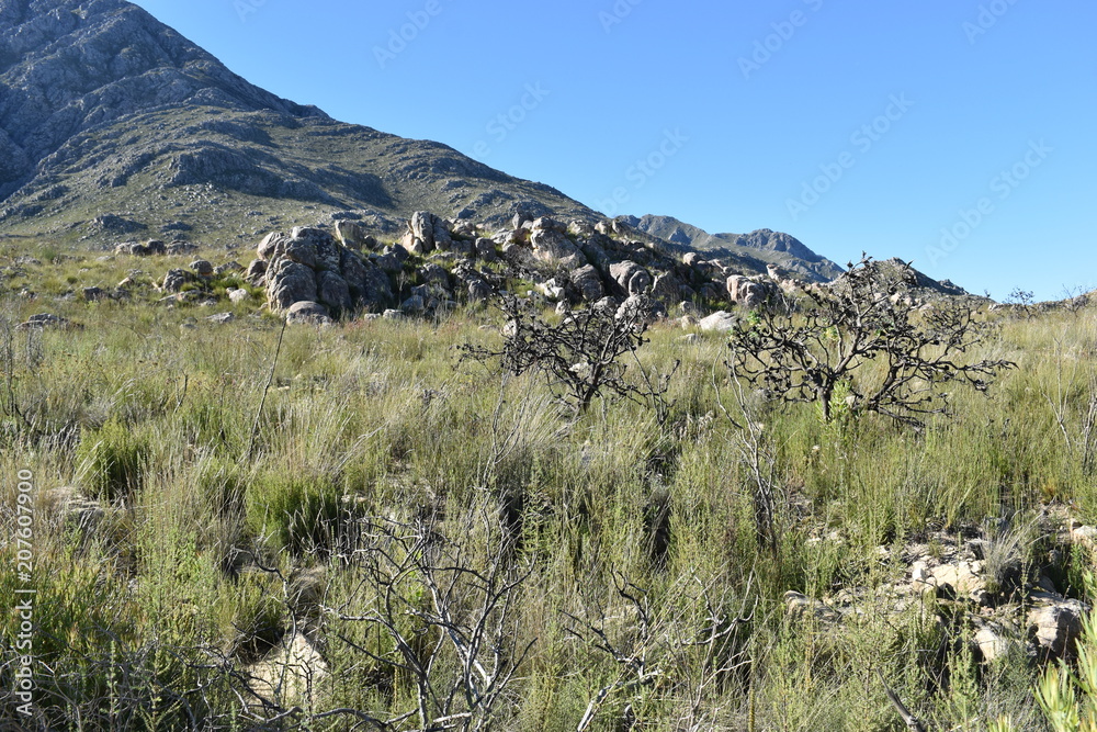  Panorama road with beautiful high mountains from Cape Town to Oudtshoorn, South Africa