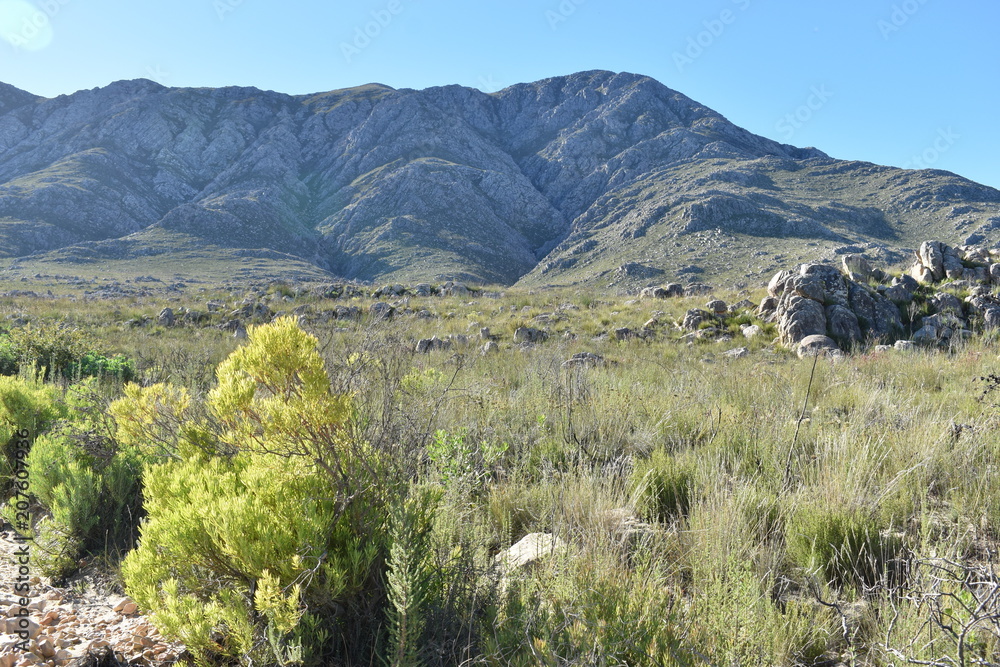  Panorama road with beautiful high mountains from Cape Town to Oudtshoorn, South Africa
