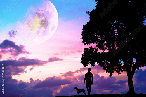 Fototapeta Naklejka Na Ścianę i Meble -  Lonely man  standing under big tree. He is unhappy and sad. He is watching the moon and star on sky. Photo concept for Silhouetted and depression. Elements of this image furnished by NA