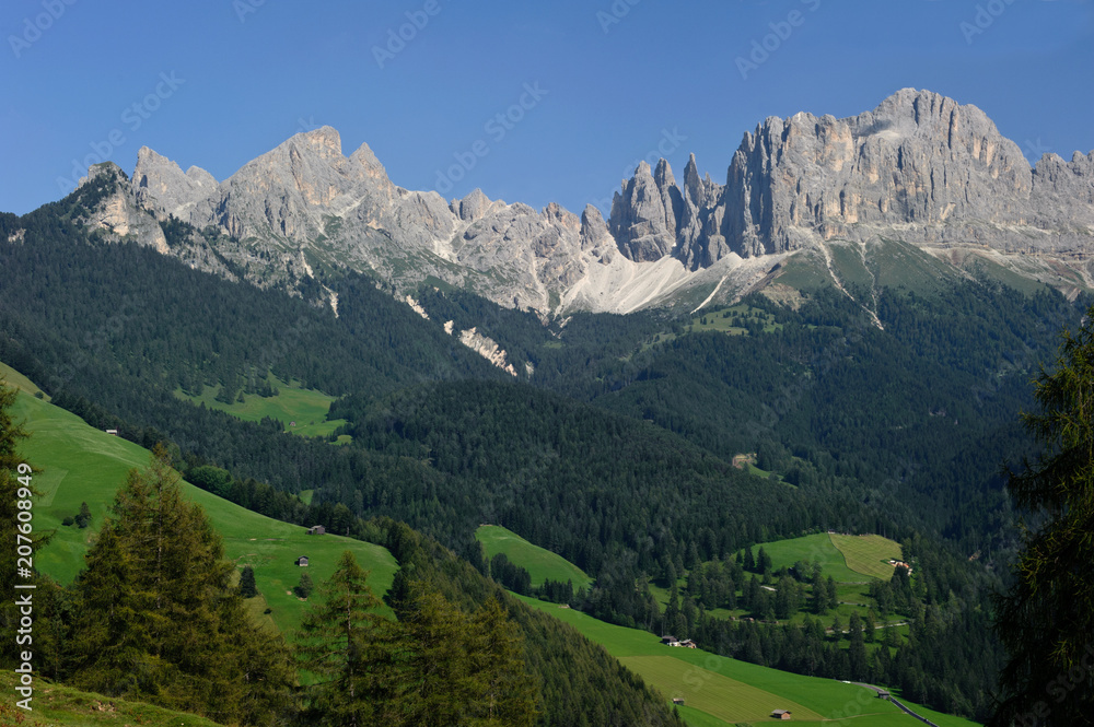 Fototapeta premium Blick auf den Rosengarten