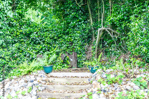 View of small wooden and stone stairs in a garden with lots of vegetation