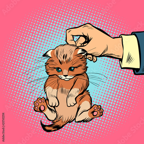 hand kitten holds by the scruff