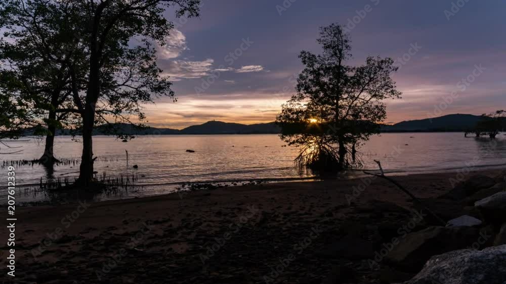 Time Lapse of sky and clouds moving with dead trees in the foreground sunrise or sunset evening time Time Lapse of sky and clouds moving with dead trees in the foreground sunrise or sunset evening time