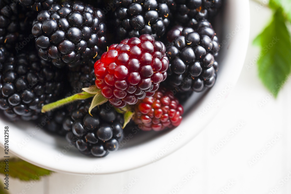 Blackberry Blackberry