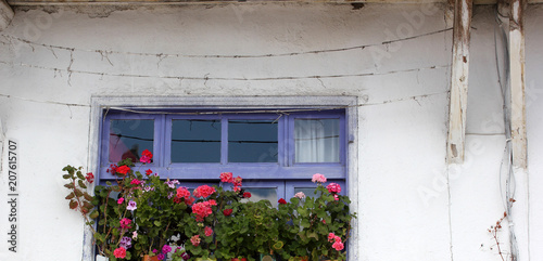 old earth house flowered window © Kybele
