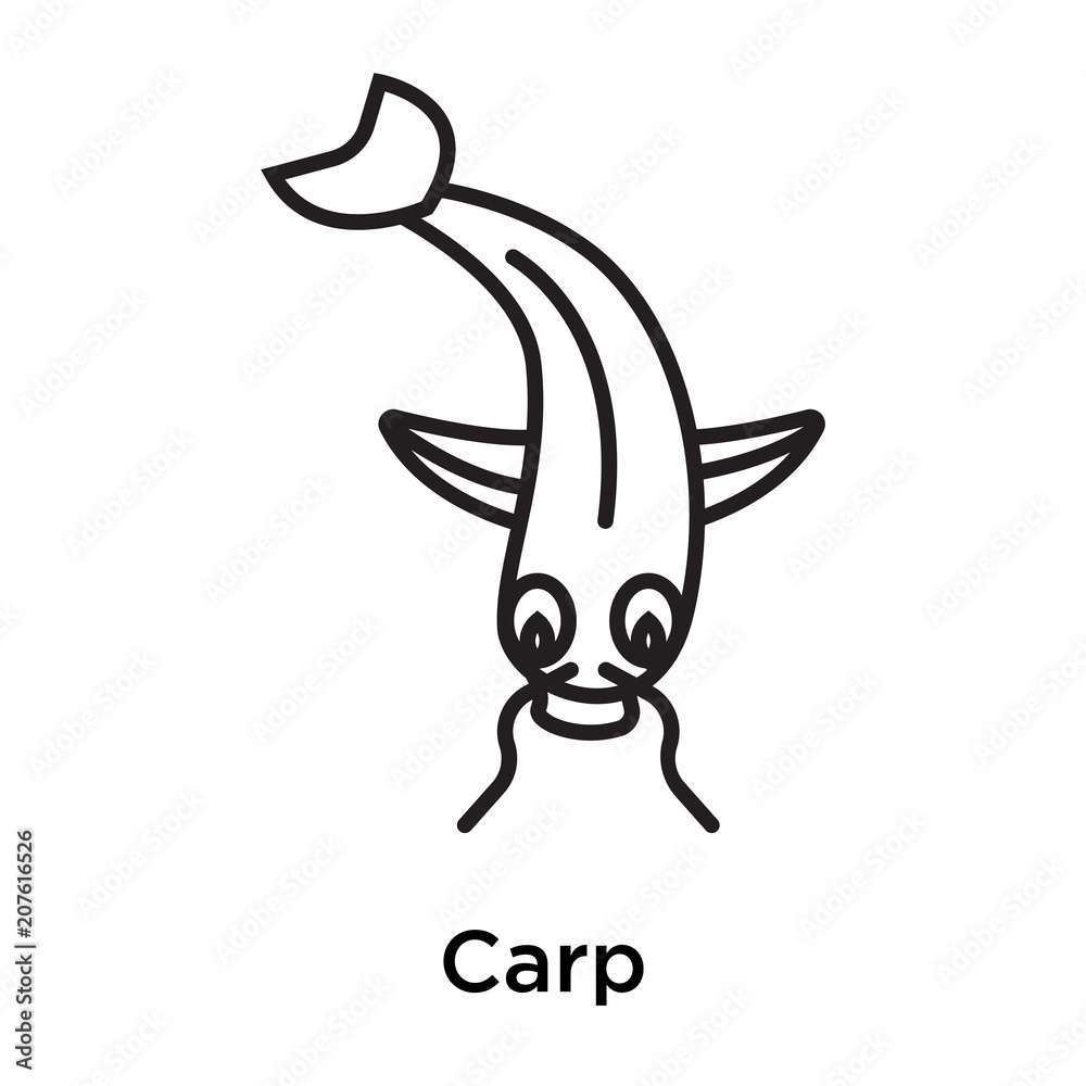 Fototapeta premium Carp icon vector sign and symbol isolated on white background