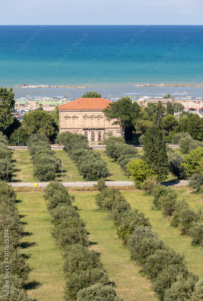 Olive grove and Adriatic coast in Roseto degli Abruzzi, Italy